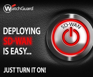 SD-WAN-Banner__Just_Turn_It_On_300x250